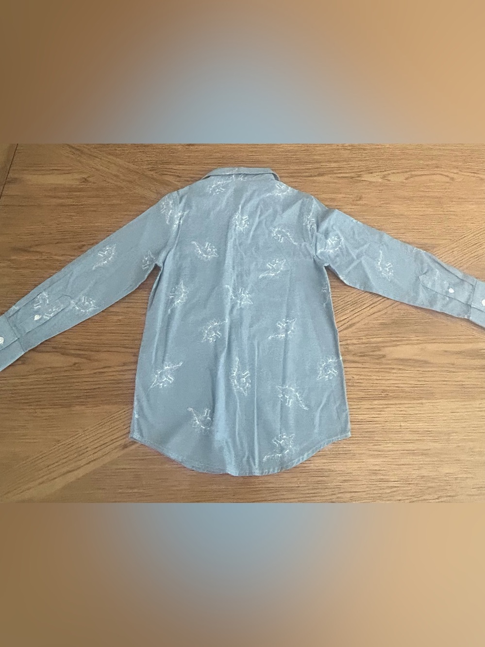 Light Blue Dinosaur Button-Down Shirt and Khaki Pants Set for Boys Size 6-7 - Picture 4 of 6